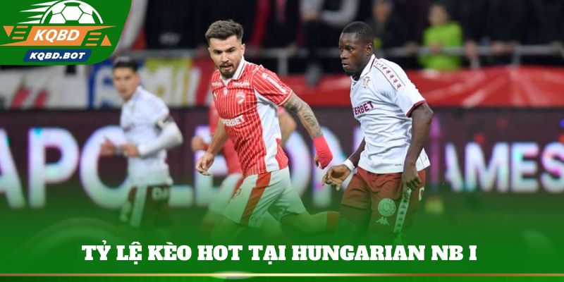 Tỷ lệ kèo hot tại Hungarian NB I 